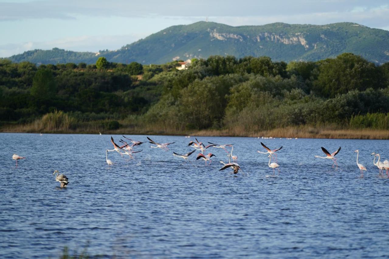 Stefanias Prasoudi Beach Ágios Matthaíos Exteriör bild